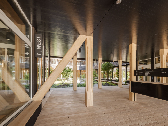 ������� ������ HORTUS