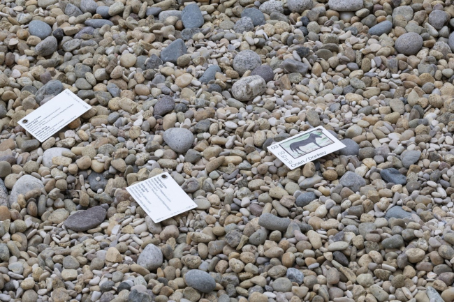 �������� ����� �� ����� ����� �����. ���� �� �����, ��� �������� ����-2�, ������, 2025