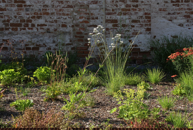Prison Yard. Garden of the Inmates� Wing, Spaso-Yevfimiev Monastery