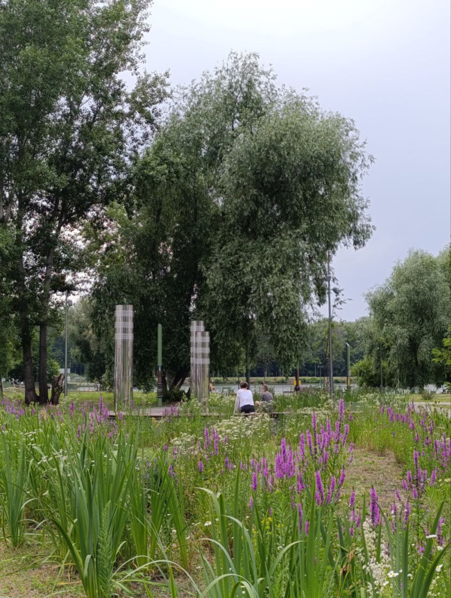 ��������� ���� �Ҹ���� �����. ������. ���-������ ���ֻ