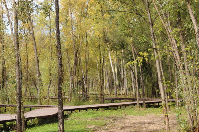 ��������� ���� �Ҹ���� �����. ���� � �����