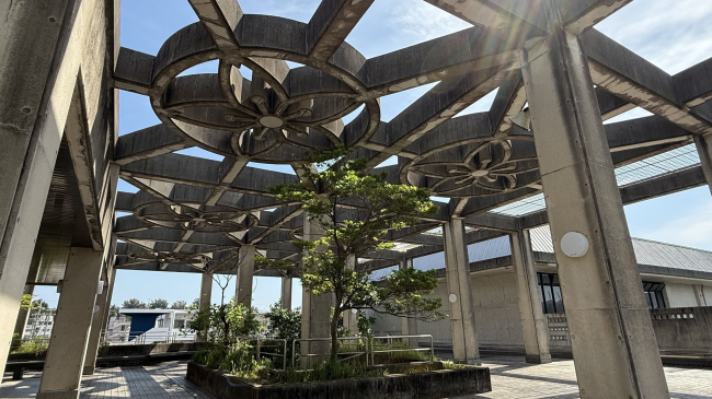 ������������� 21st Century Forest � ������ ����, �������