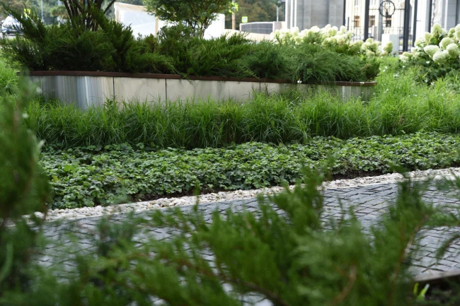 ��������������� ���������� �� �������� ������