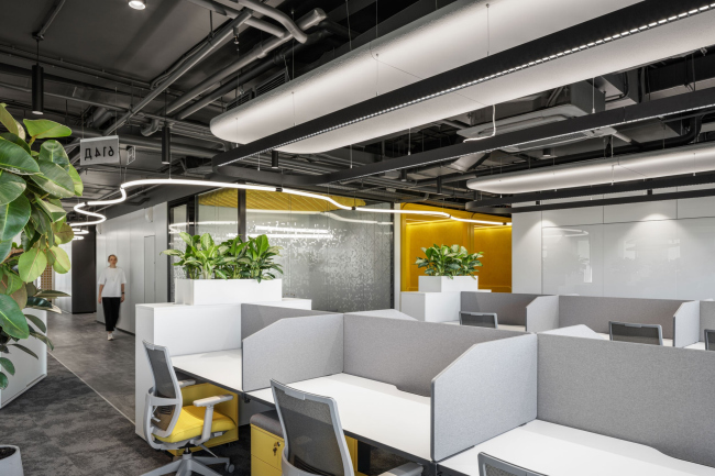 ����-�������� ������-����������