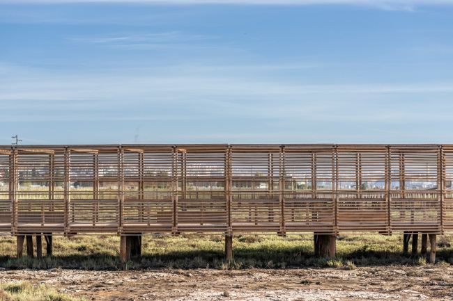 ������� ����� ����� ���� ����