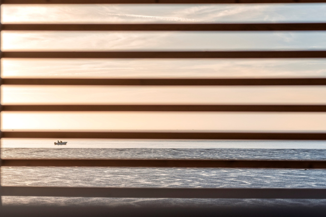 ������� ����� ����� ���� ����