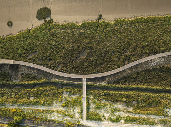 ������� ����� ����� ���� ����