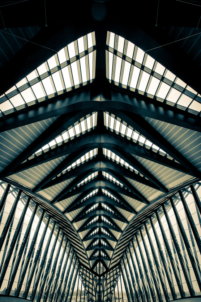 Станция TGV в аэропорту Лиона. Фото: Michael Burgstahler via flickr.com. Лицензия CC BY 2.0