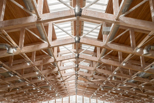 ���������� ����� ��� ���� ������, ����� ������� 45,5 �, ������