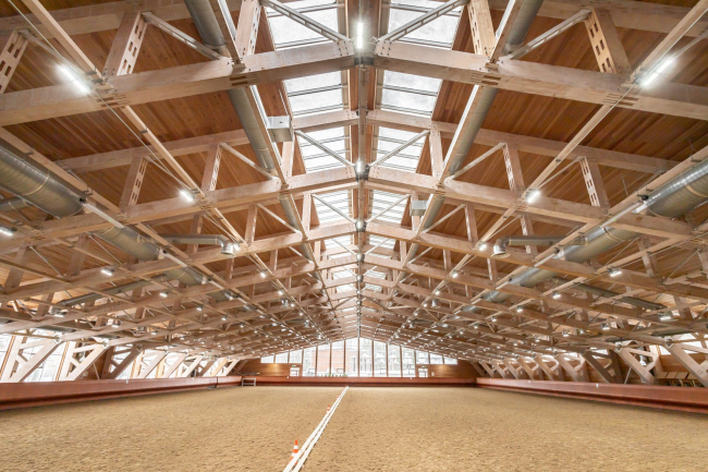 ���������� ����� ��� ���� ������, ����� ������� 45,5 �, ������