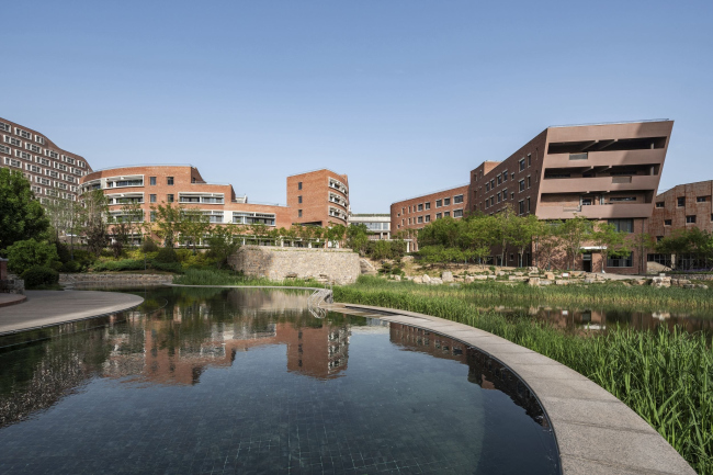 ����� ������