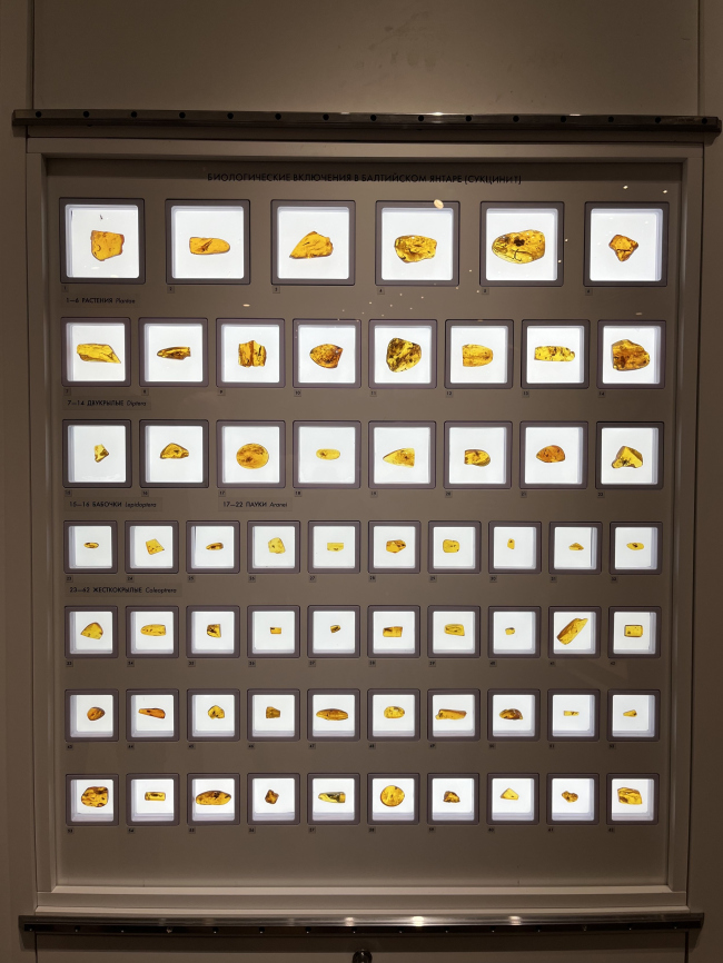 ���������� ������ ������� ����� �������� ������ � �������� ������