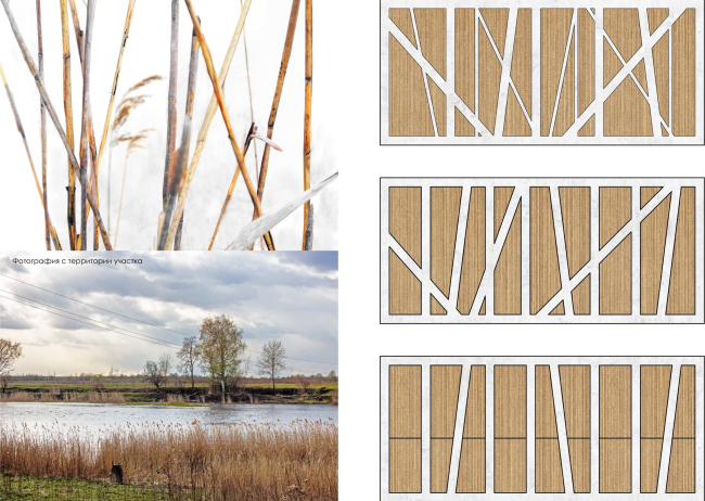 ��� �������� ����� ����������. ���� �������� ����������