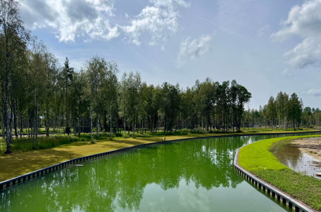 Мост в поселке Форест Вилладж Мост в поселке Форест Вилладж