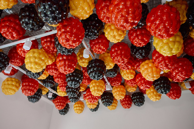 ������� ����������� �������� ����������� �������