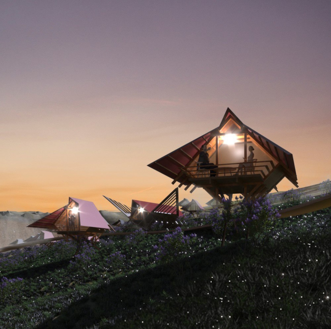 Nests eco-park. Filinskaya Bay