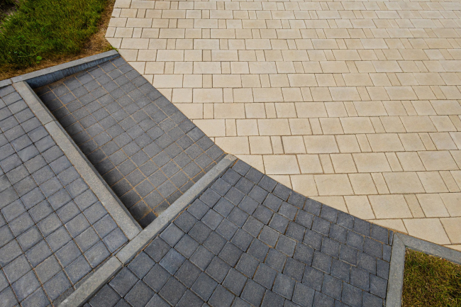 �� �ARTNOVA� � �������