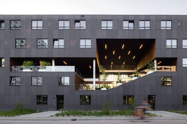 ������������ ��������� ���������� ���������������� ������������ Suit� 9