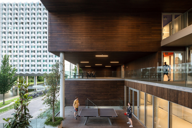 ������������ ��������� ���������� ���������������� ������������ Suit� 9