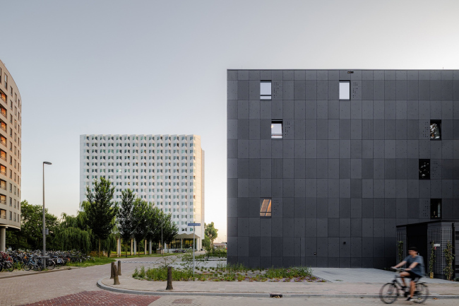 ������������ ��������� ���������� ���������������� ������������ Suit� 9