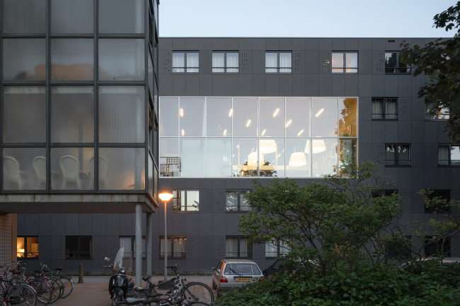 ������������ ��������� ���������� ���������������� ������������ Suit� 9