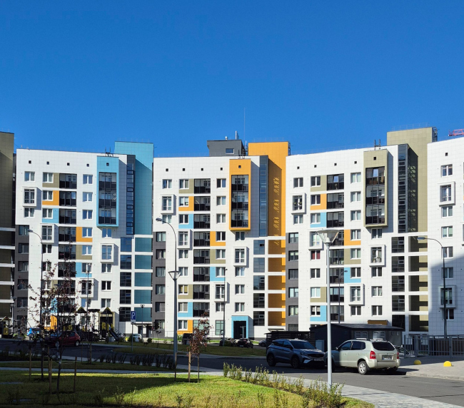 �� ������. ��� 11