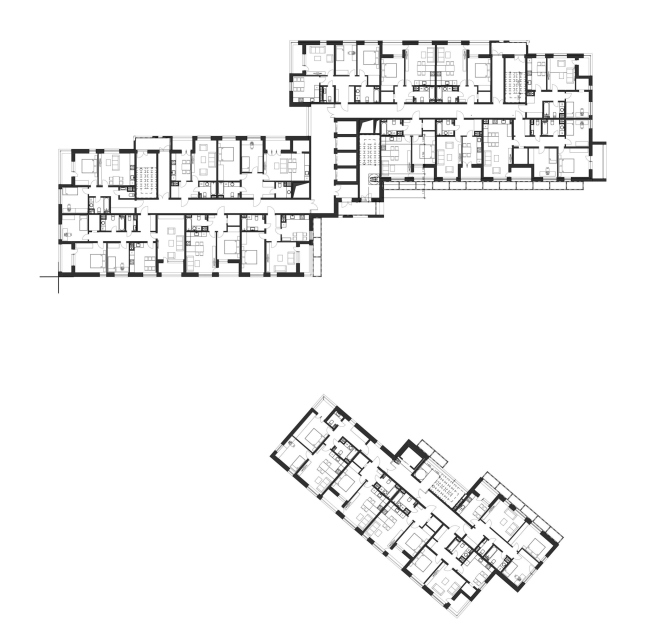 �� ������. ��� 12. ���� �������� �����