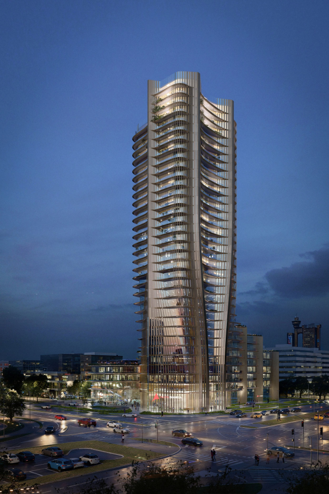 ����� Alta