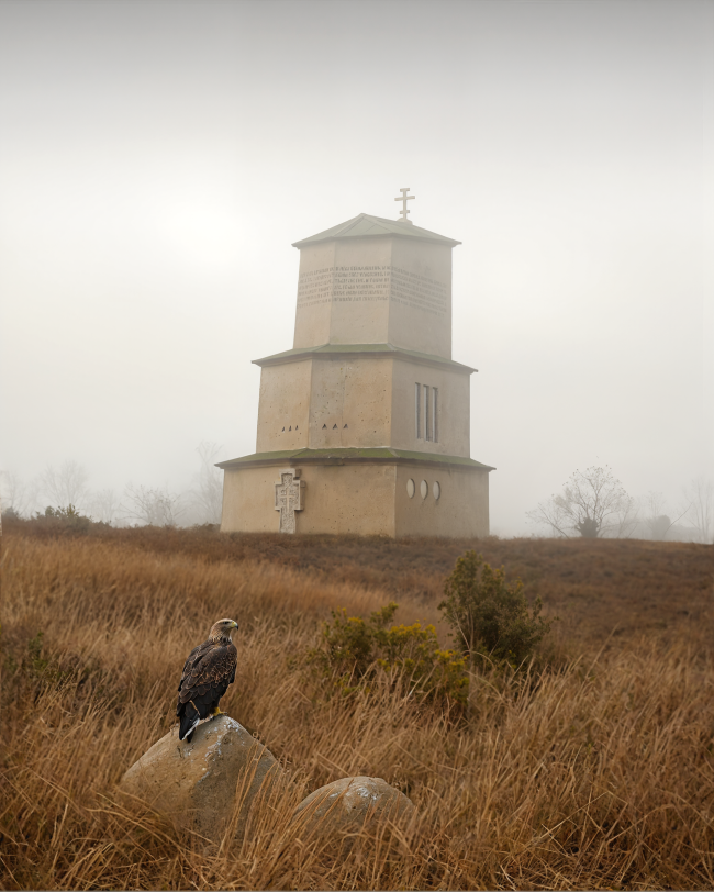 ���� �������