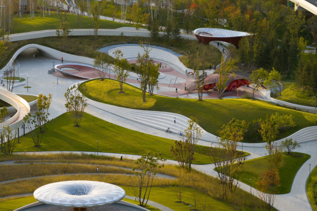 ����������� ���� �������