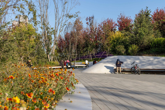 ����������� ���� �������