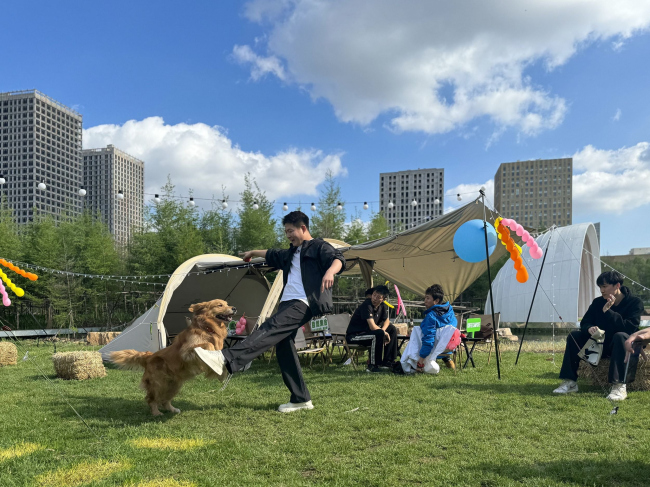 ����������� ���� �������