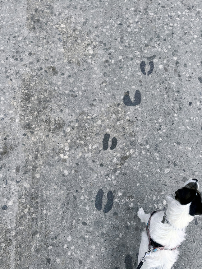 Арт-объект на месте колодца в деревне Стара-Фужина Арт-объект на месте колодца в деревне Стара-Фужина