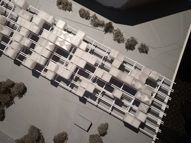  CONTINUUM & InnovaTransport    .     2025