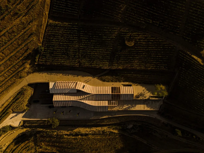 Production energy and Logistics: Quinta de Adorigo Winery, ������ ���� ����, ����������.
����: Atelier Sergio Rebelo
