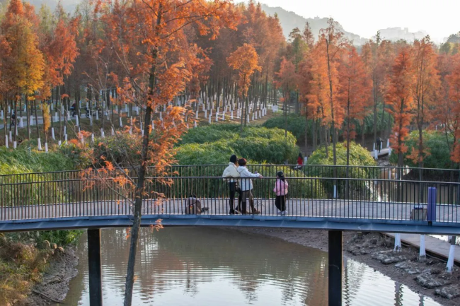 Embracing Flood: Xinjiang River Ecological Corridor, ������, �����. ����: Turenscape