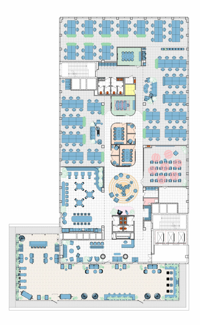 ���� �����������������