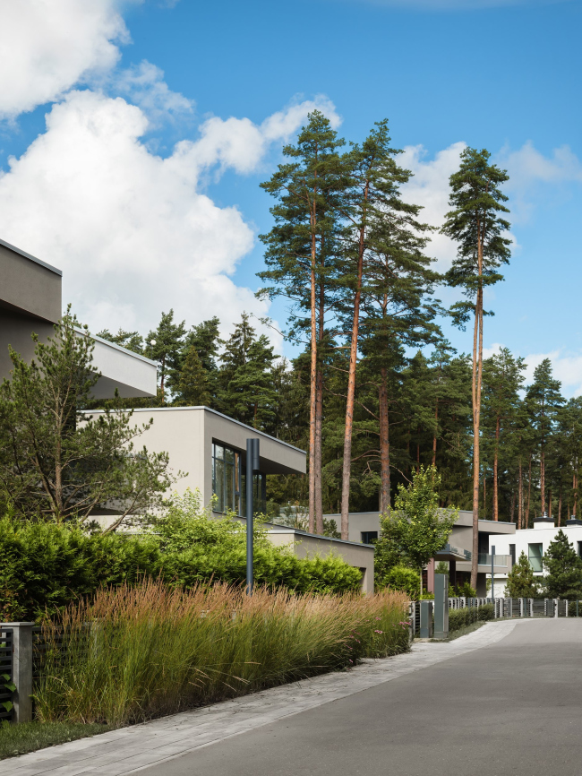 ������� ����