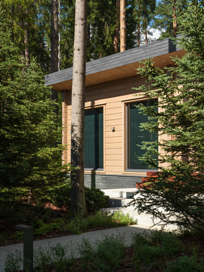 ������� ����