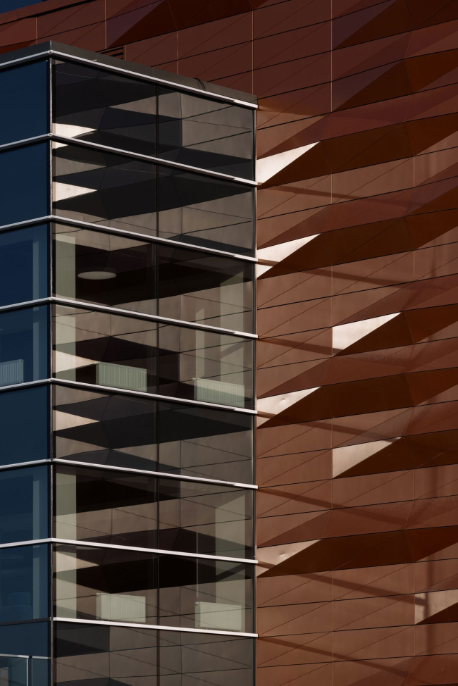 ������ ������ ����� ������