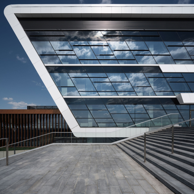 ������ ������ ����� ������