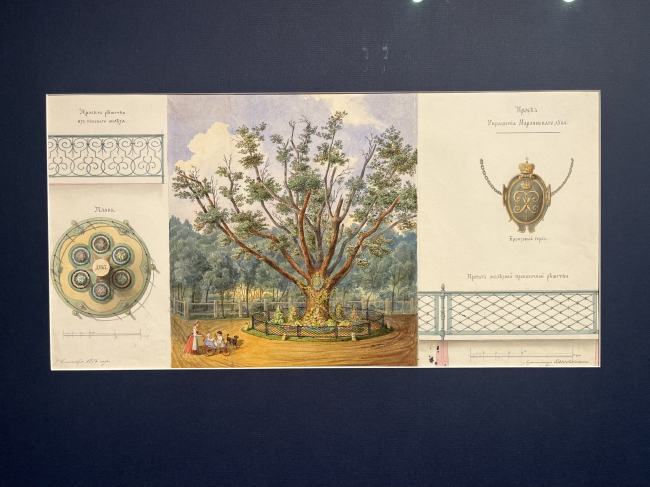 �������� ���� ����� � �� �����, ��� ������, 2025