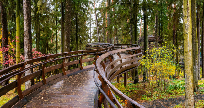 ������ ���