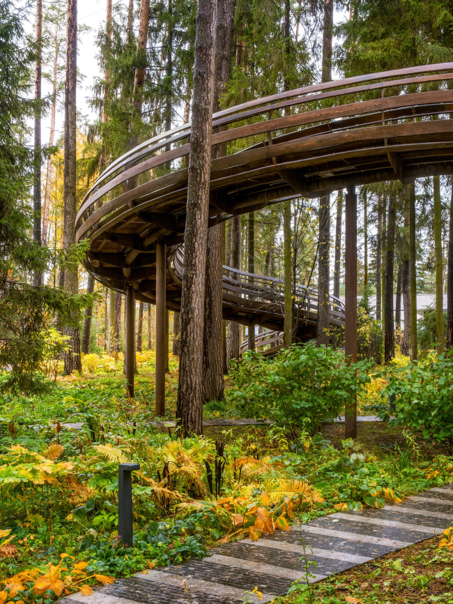 ������ ���