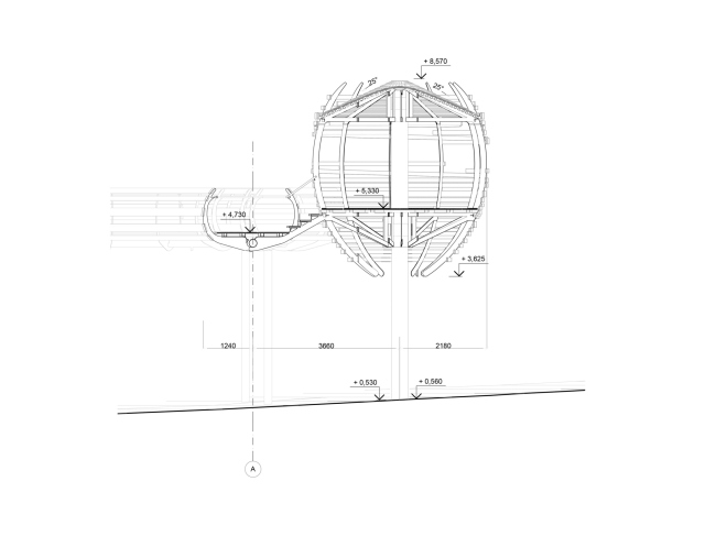 ������ ���