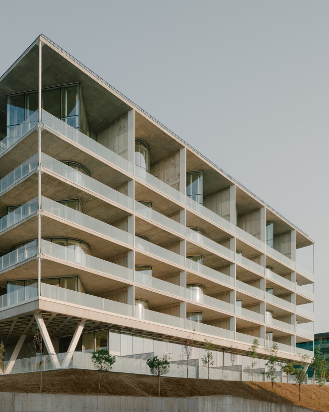 ��������������� ����� ��� �� ����� ���� � �������