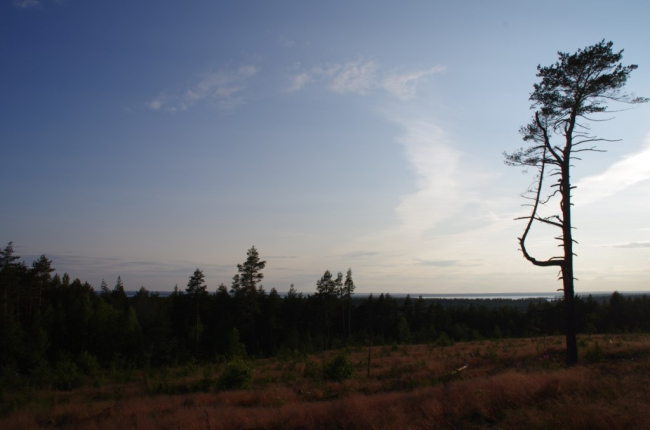 �������, ��������