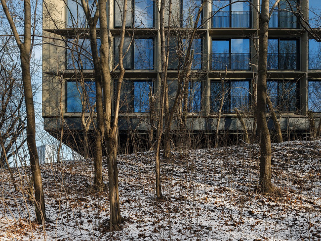 ���������� ��������� ���