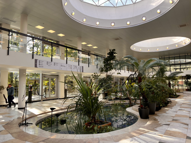 ���������� ������ �������� �� ���������� �����. ������ �����������