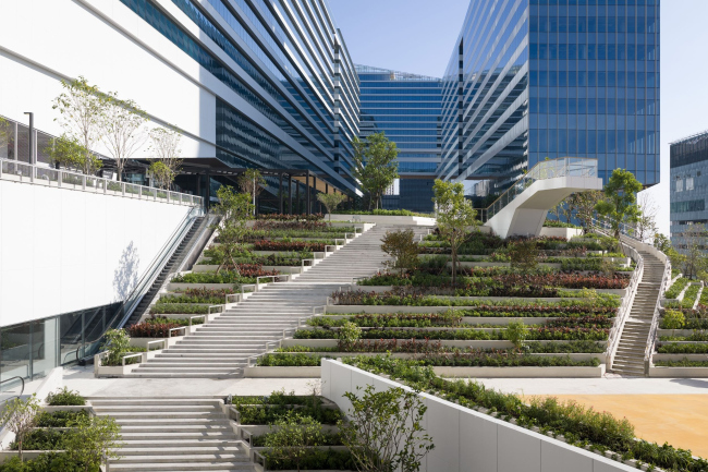 �������� Cloud 11